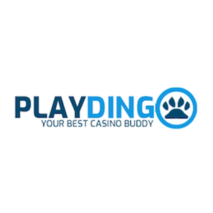 Play Dingo logo